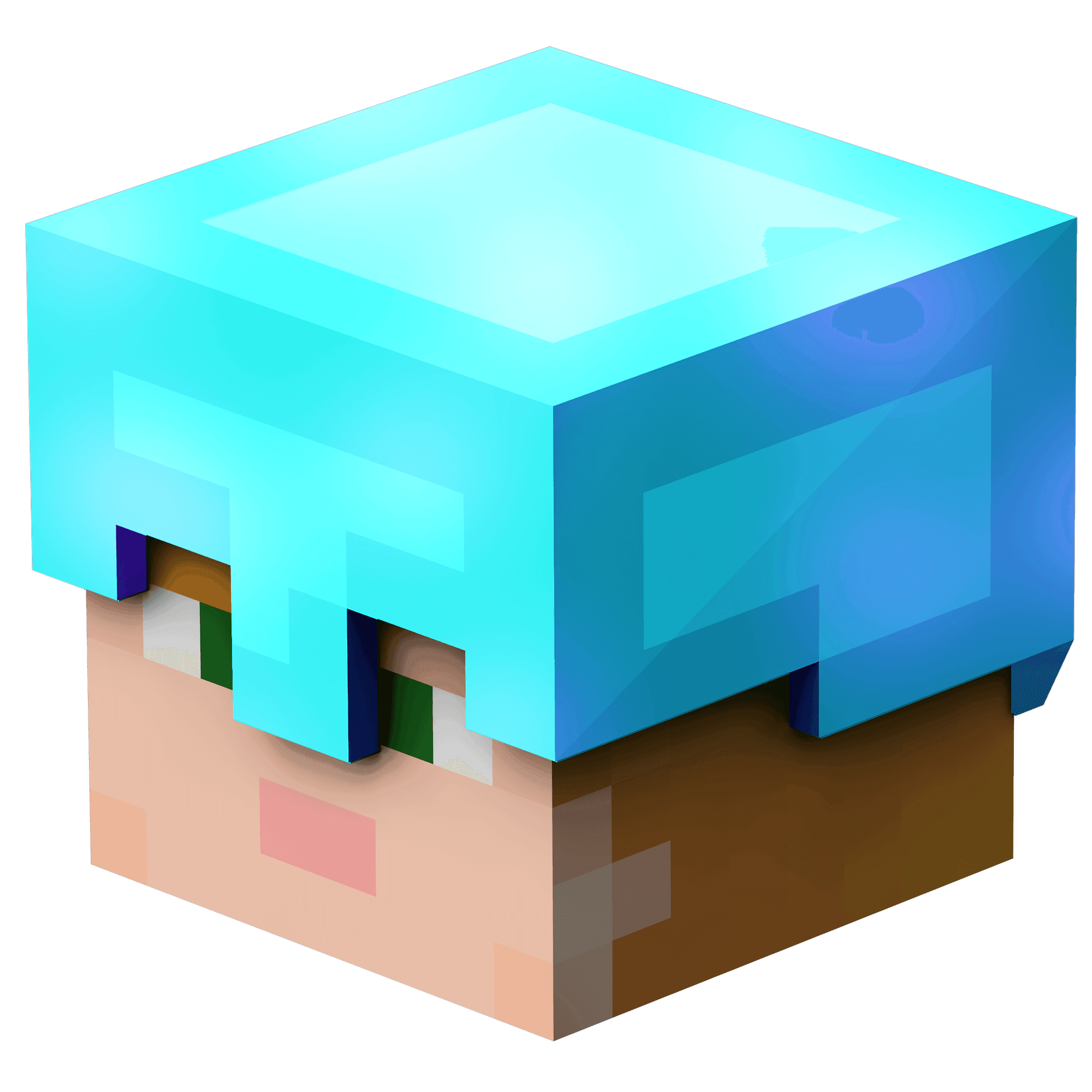 RAPY